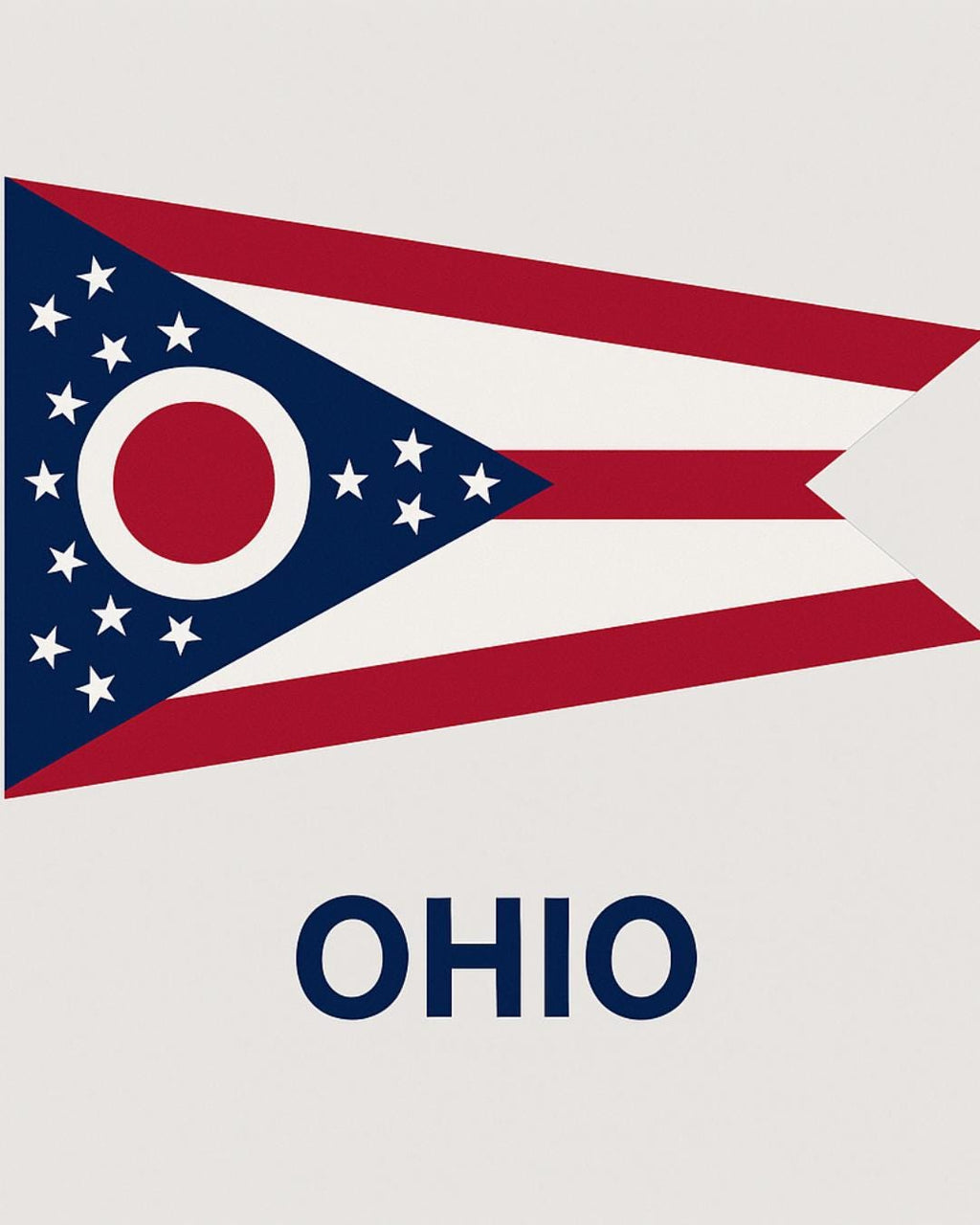U.S. State Flags Printable Art | Classroom Decor (Digital Download)