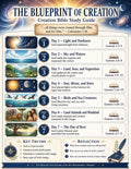 Creation Bible Study Guide, Poster, Lesson, worksheet, Quiz (PDF, PNG, MP4 Downloads)