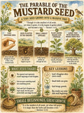 The Parable of the Mustard Seed Bible Study, Poster, Worksheet, Teacher Lesson, Guide, Quiz,( PDF, PNG and MP4 Downloads)