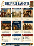 The First Passover Bible Study Bundle, Exodus Poster, Worksheet, Teacher Lesson, Guide, Quiz, (PDF, PNG and MP4)