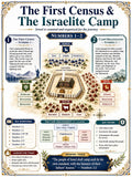 The First Census and Israelite Camp Bible Study Bundle, Numbers 1–2 Poster, Worksheet, Teacher Lesson, Guide, Quiz, (PDF PNG MP4 Download)