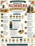 Book of Numbers Bible Study Activity Workbook Bundle , Printable Questions and Answers, Bible Lesson PDF Download