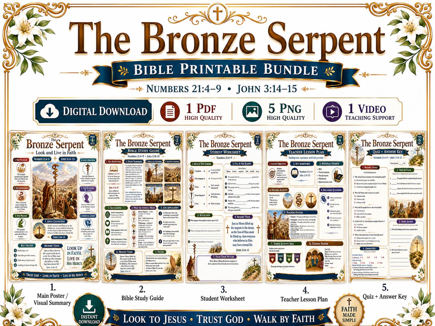 The Bronze Serpent Bible Study Bundle, Poster, Worksheet, Teacher Lesson, Study Guide, Quiz, PDF PNG MP4 Downloads
