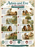 Adam and Eve in the Garden Bible Study Bundle, Genesis 2–3 Poster, Worksheet, Teacher Lesson, Guide, Quiz, (PDF PNG MP4 Downloads)